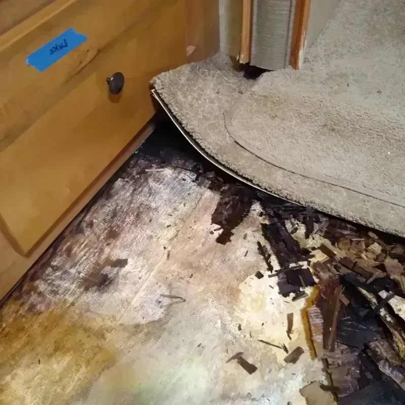 Wood Floor Water Damage in Hometown, IL